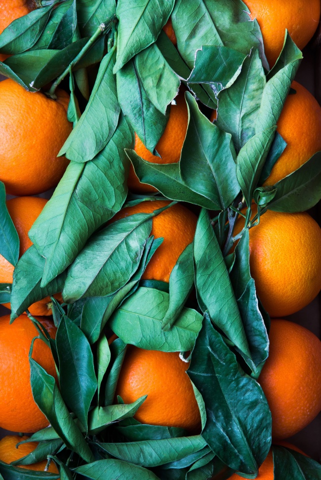 产品信息4